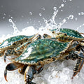 Blue swimming crabs on crushed ice with a spray of cold water